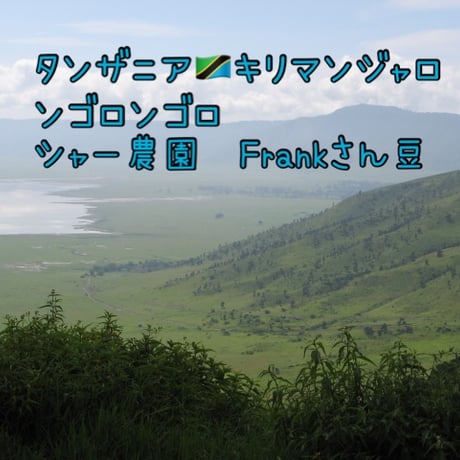 タンザニア🇹🇿キリマンジャロ　ンゴロンゴロ　シャー農園Frankさん豆　Natural 100g