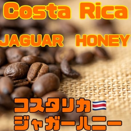 コスタリカ🇨🇷 ジャガー　ハニー