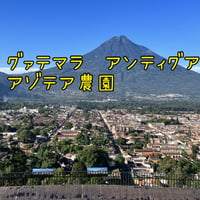 グァテマラ　アンティグア　ラ・アゾテア農園　100g