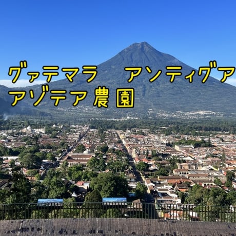 グァテマラ　アンティグア　ラ・アゾテア農園　100g