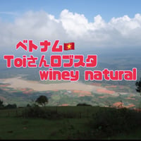 ベトナム🇻🇳Toiさんロブスタ　winey-Natural 100g