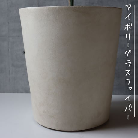 【樹形◎】オリーブ オリーブの木 8号 ひなかぜ  観葉植物 寒さ暑さに強い 耐寒温度-5度