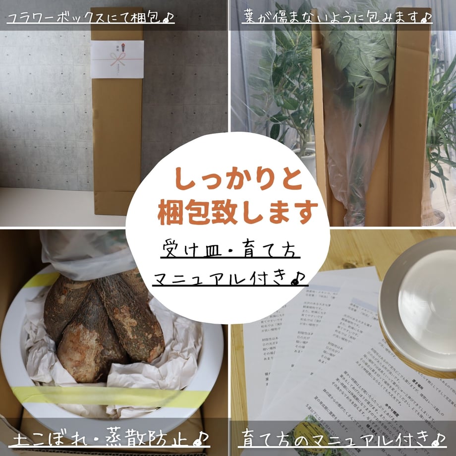 68cbbd4659d79811cbdb5da0