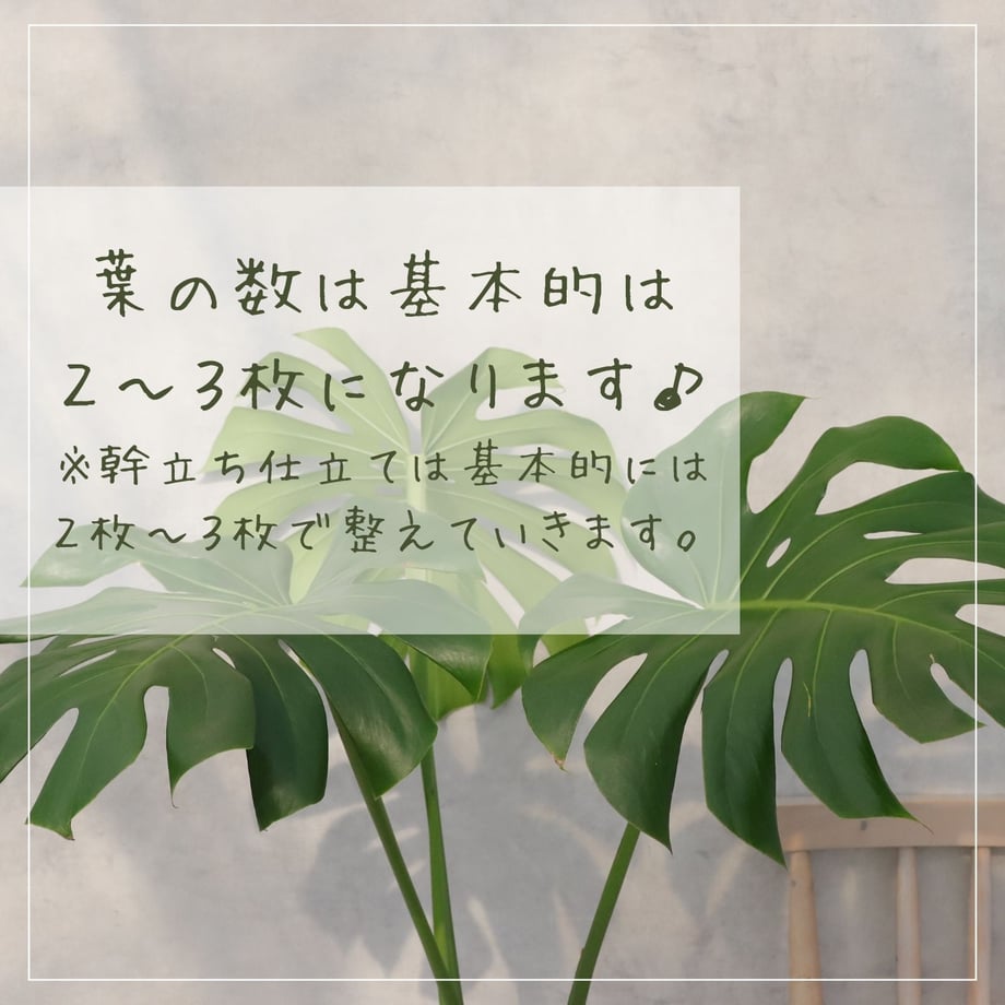 68527a8ab8b29932bfd929ad