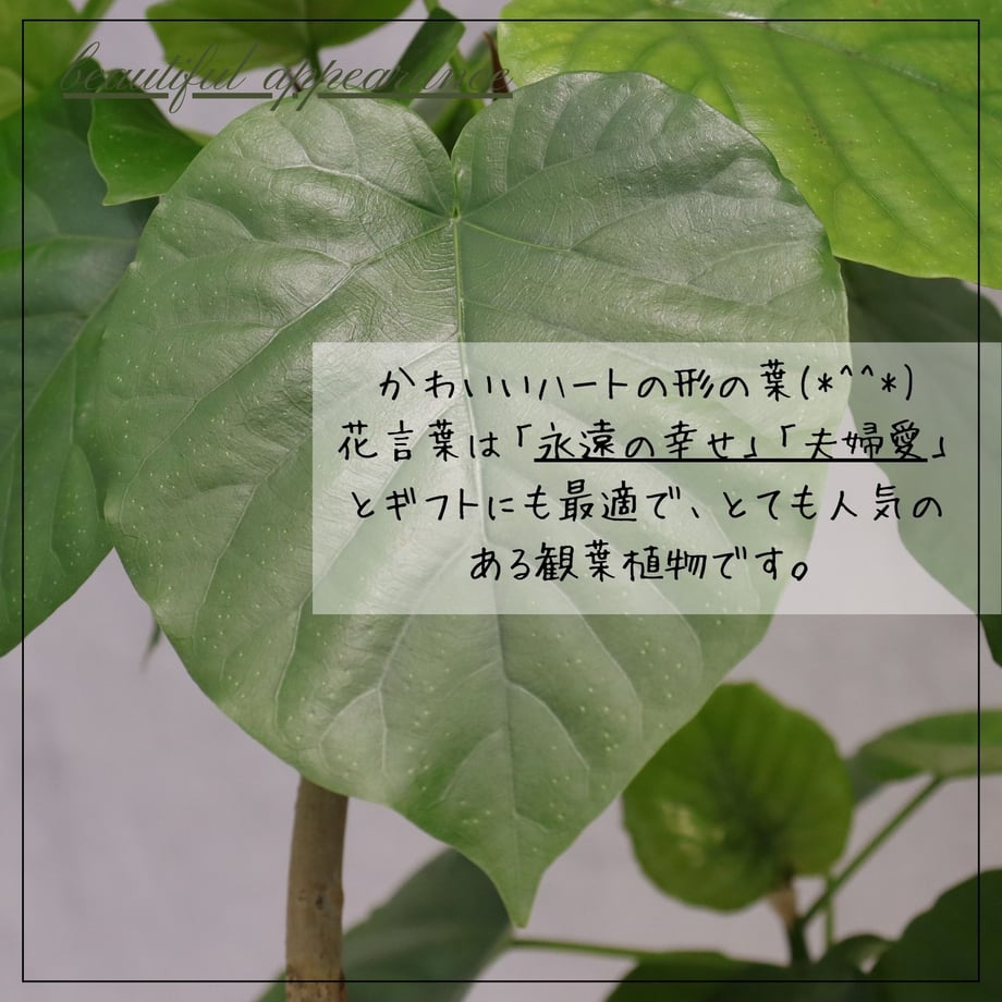 685274ff91832510f5bcc7de