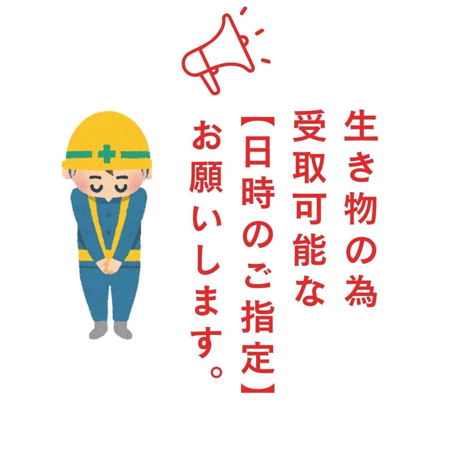 685278f662289b3115200b2d