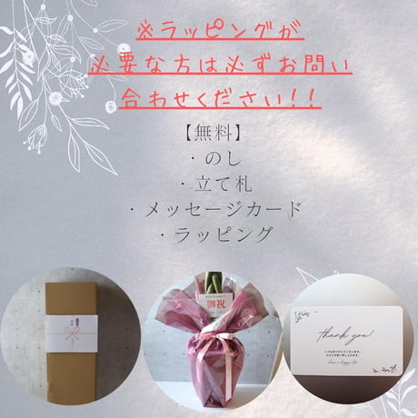 フィカス ベンガレンシス 朴 仕立て ゴムの木 お祝い ギフト 開店祝い ラッピング 無料 ベンガレンシス 観葉植物 プレゼント 開店祝い 観葉植物 新築祝い お中元 お歳暮 熱帯植物 ８号