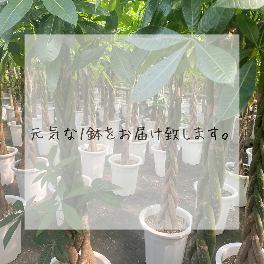 68527a8ab8b29932bfd929ad