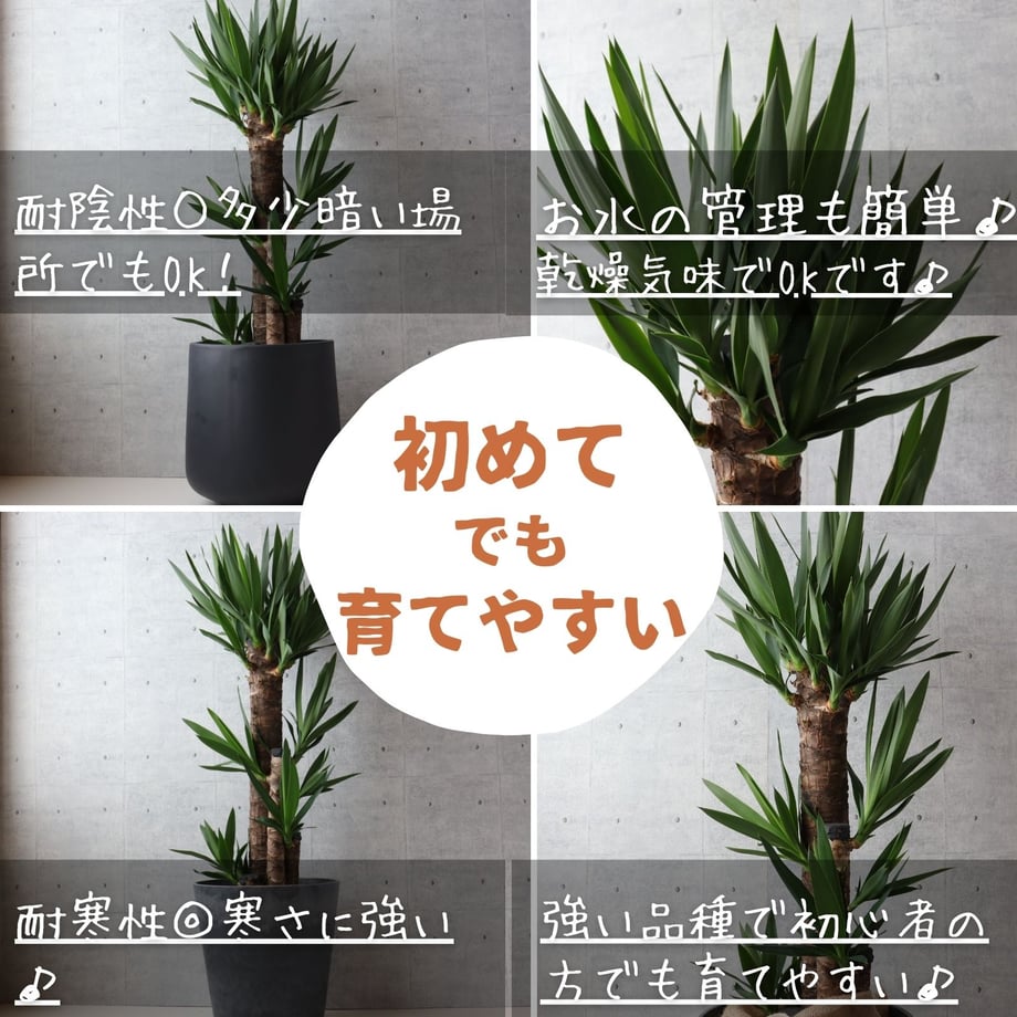 67c53d0152c008020a13b0b8