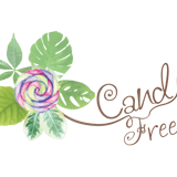 観葉植物 専門店 candytree