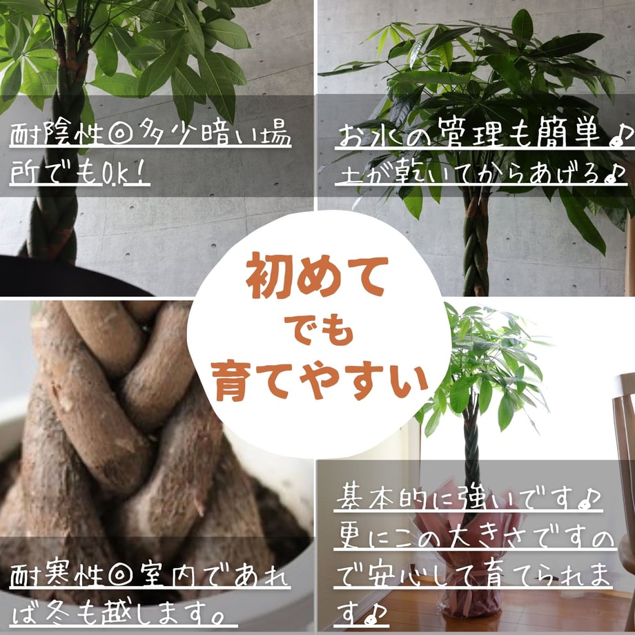 68cbbd4659d79811cbdb5da0