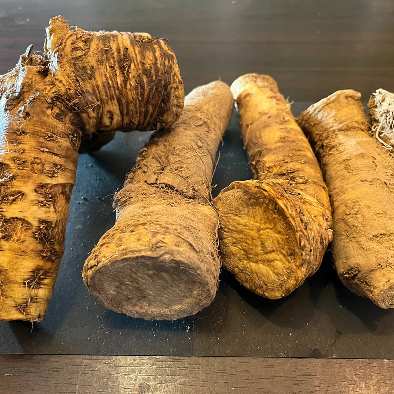 土付き山わさび【帯広産】1kg | 北海道ガイドセレクト