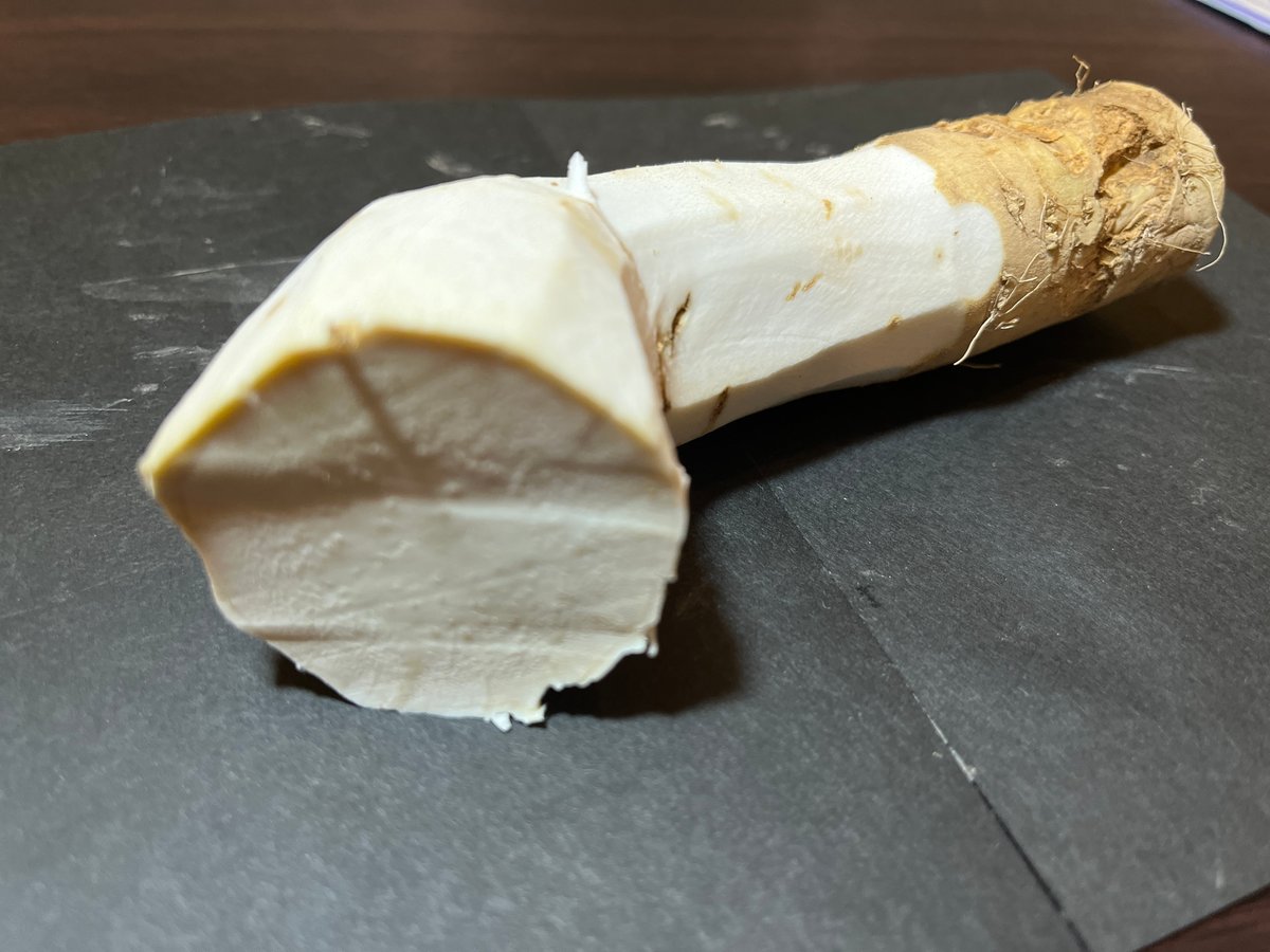 土付き山わさび【帯広産】1kg | 北海道ガイドセレクト