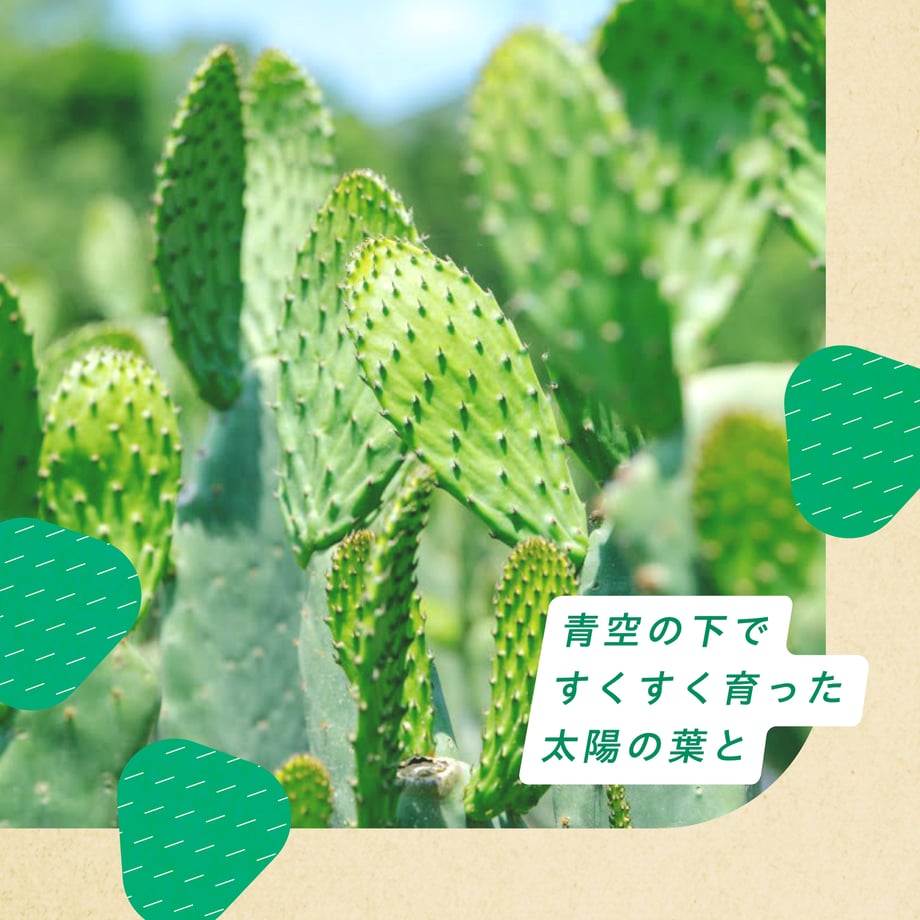 69bb7b3e59de6b5a037eecd4