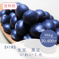 【R7産】光黒 黒豆 30kg