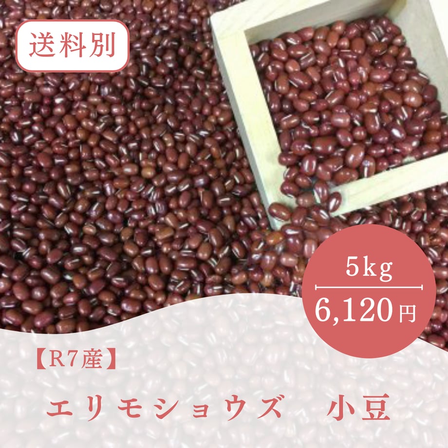 66498d5d1d75b6000110e66f