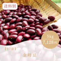 【R7産】金時豆 5kｇ
