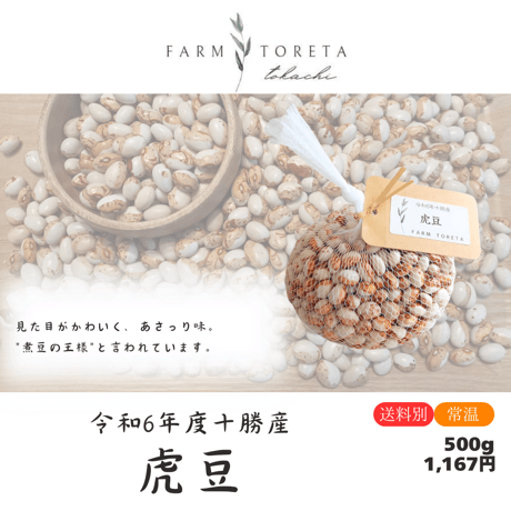 【KAZUTAKA TOI】生豆　合計14kg KAZUTAKA TOI】生豆 合計14kg KAZUTAKA TOI】生豆 合計14kg 楽天