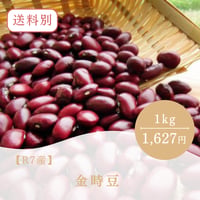 【R７産】金時豆 1kｇ