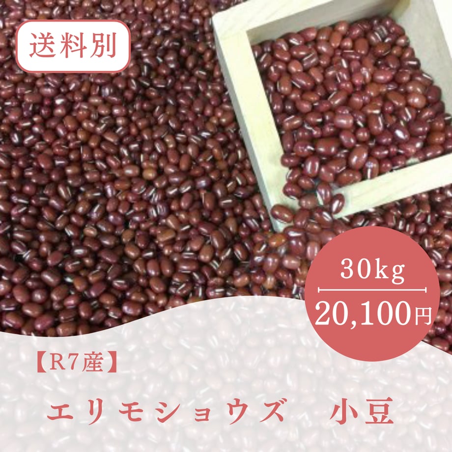 66498d951d75b6000110e69f