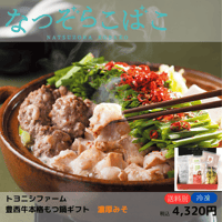 【トヨニシファーム】豊西牛本格もつ鍋ギフト 濃厚みそ