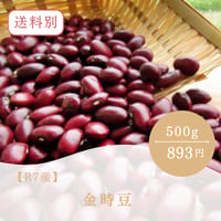 【R7産】金時豆 500ｇ