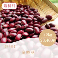 【R7産】 金時豆 30kｇ