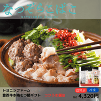 【トヨニシファーム】豊西牛本格もつ鍋ギフト コクうま醤油