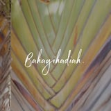 Bhshop