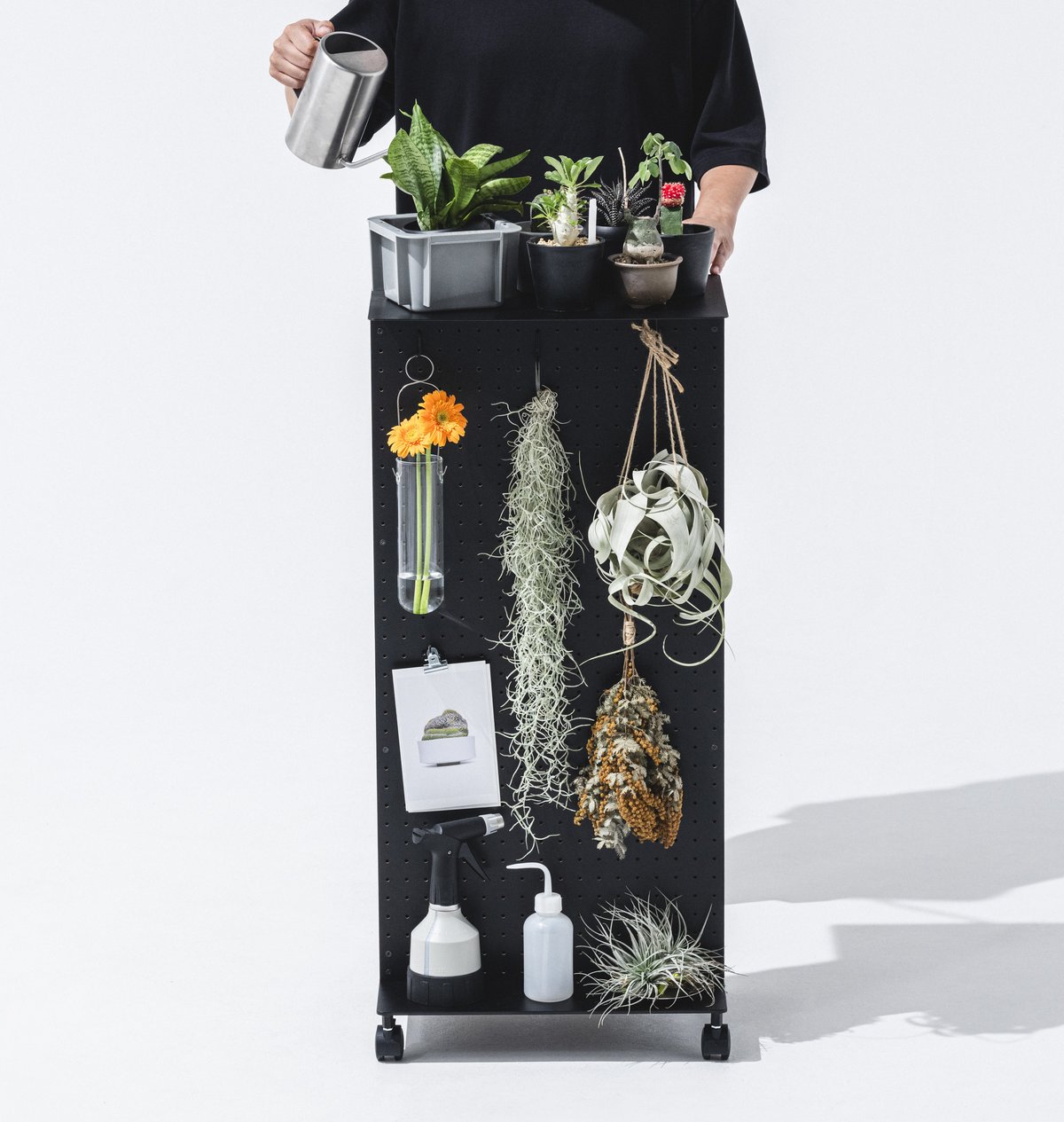 WALL FOR ONE ブラック WALL FOR ONE | TENTのTEMPO