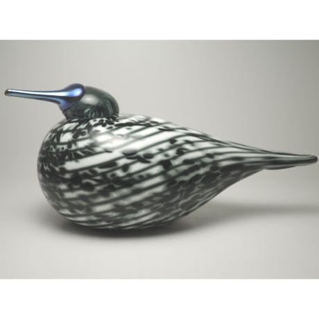 イッタラバード | STORES