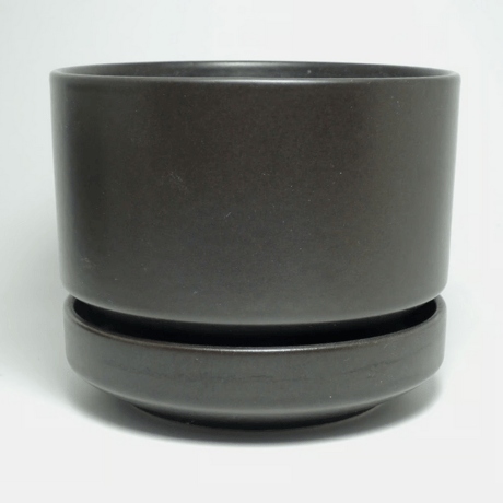 リカルドリンド | STORES