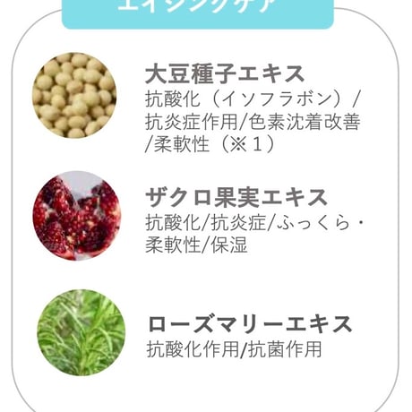 Feelfit(フィールフィット)