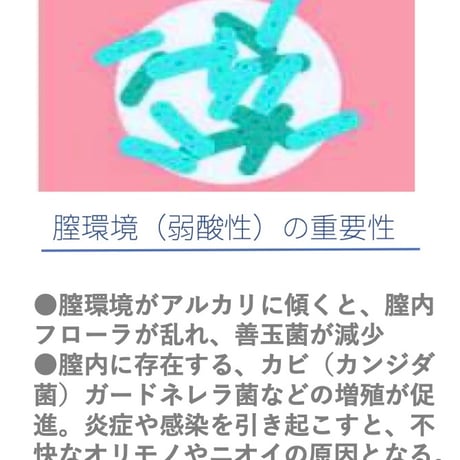 Feelfit(フィールフィット)