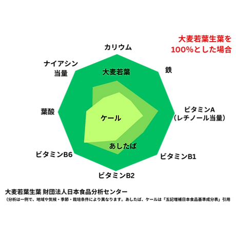 生搾り酵素ドリンク『ORIZURU2.0』