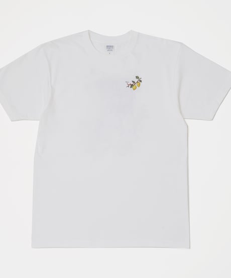 Tシャツ｜一人暮らし