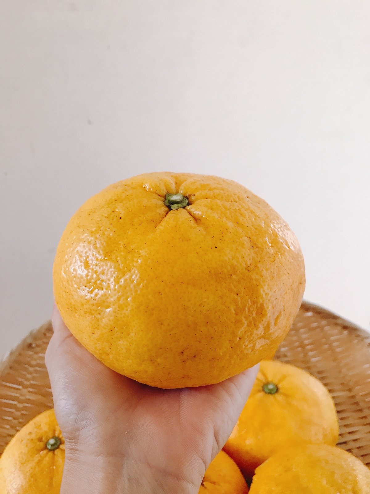 夏みかん様 確認用 fit=scale-down,w=1200