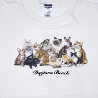 Howard Robinson CAT TEE #VCF7