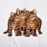 THREE TABBY CAT TEE #VCF39