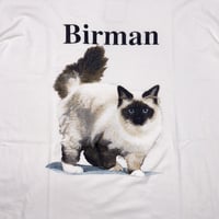 Birman CAT TEE #VCF43