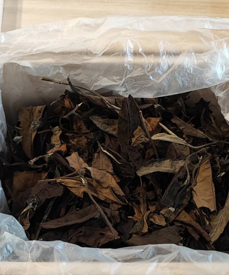 【白茶】古樹白茶15g