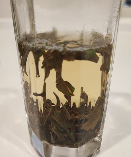 【白茶】白牡丹