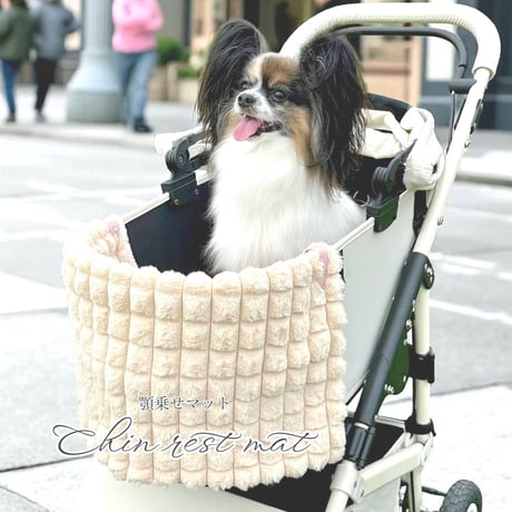 Popcorn Fur Blanket