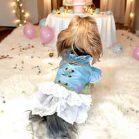frill denim skirt