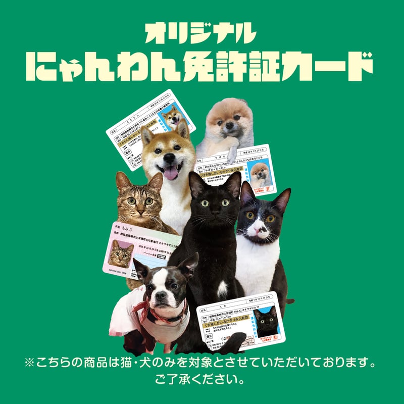 86にゃん様　確認ページ にゃんわん免許証風カード | バーニャ商店