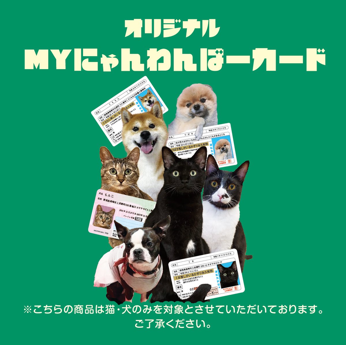 MYにゃんわんばーカード | バーニャ商店