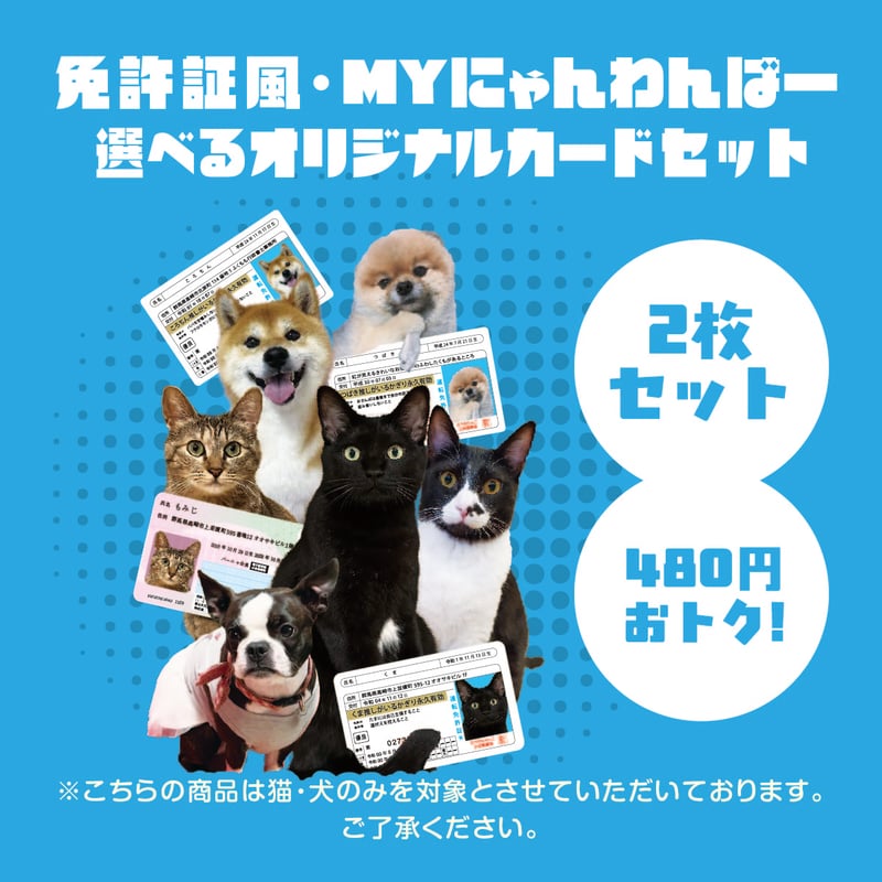 オリジナルカード_2枚セット | バーニャ商店