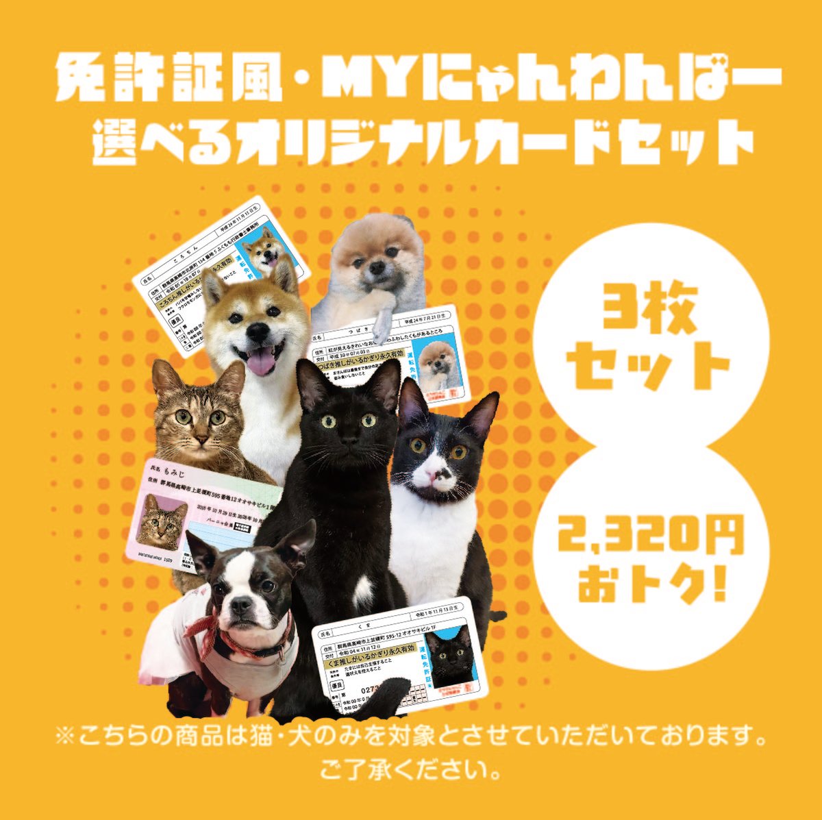 オリジナルカード_3枚セット | バーニャ商店