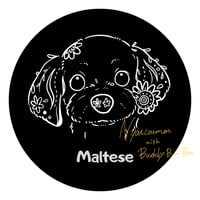 マルチーズ(エスニック)