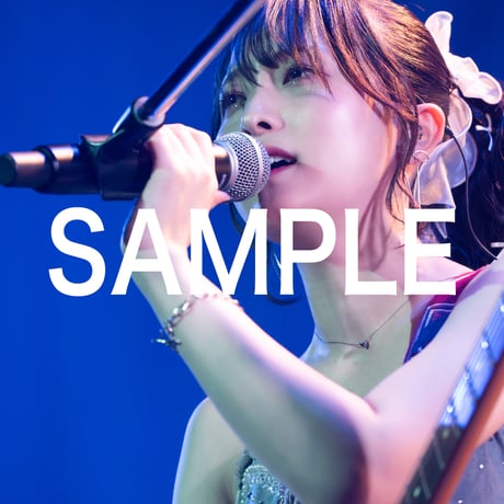 Zepp羽田(2025/8/17)ライブフォト